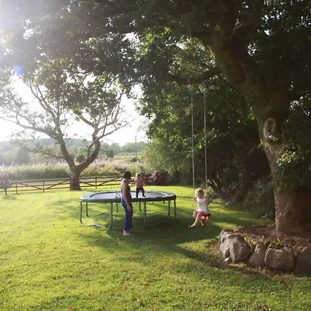 Apartament Canal Bank House *